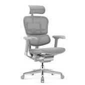 Ортопедическое кресло Falto Comfort Ergohuman Elite 2 Серое